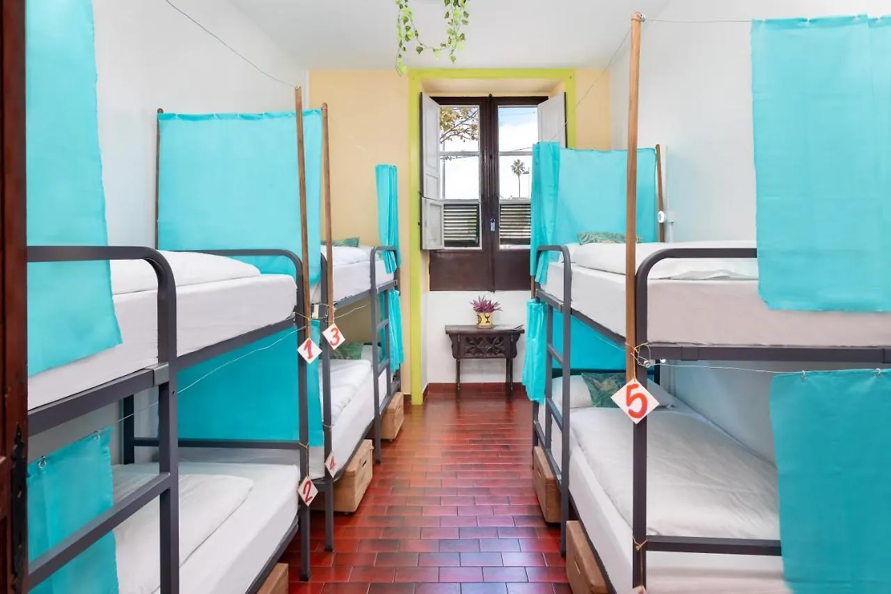 Patio Hostel La Laguna